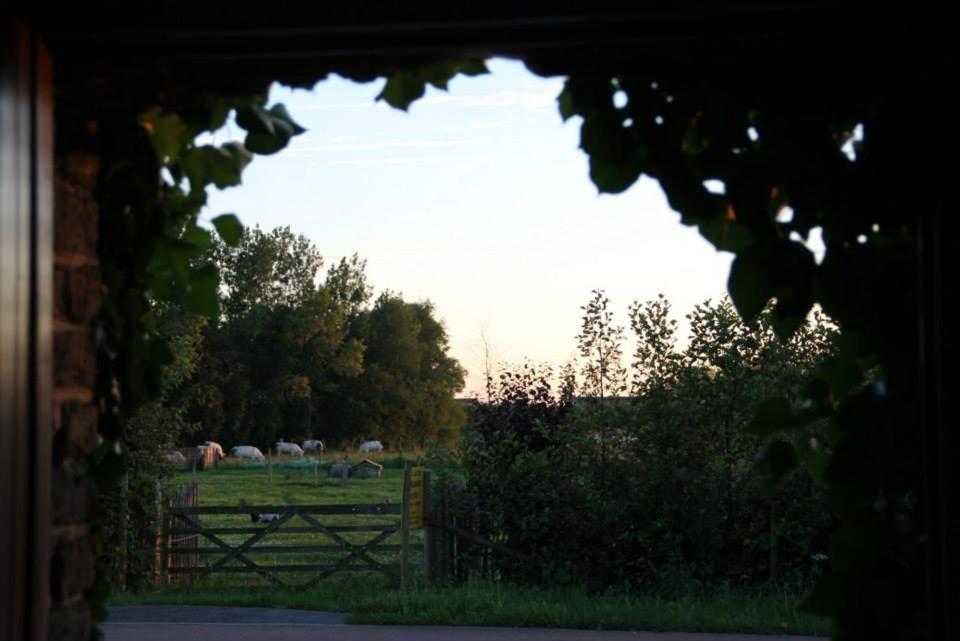 Polder 27 Villa Oudenburg ภายนอก รูปภาพ